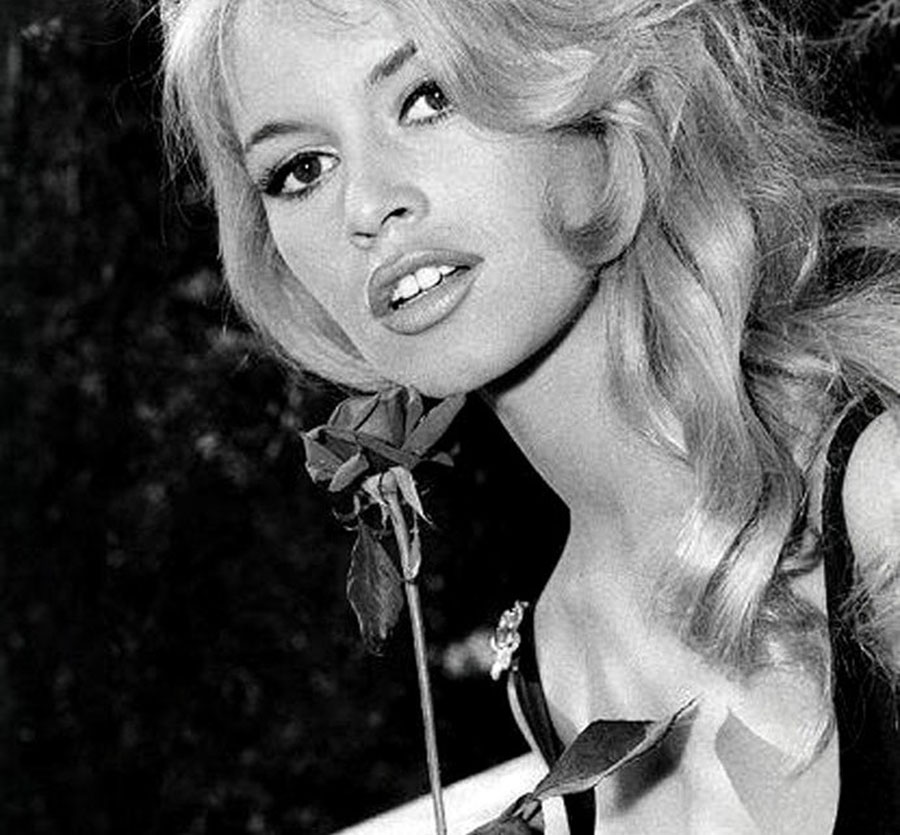 les plus belles photos de Brigitte Bardot.BBrigitte Bardot © Photo copyright : 