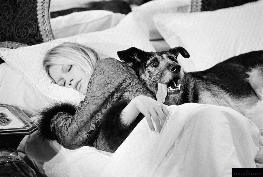 les plus belles photos de Brigitte Bardot.Brigitte Bardot dors avec son chien © Photo : Terry O'Neill