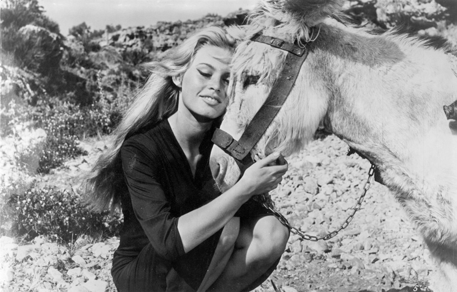les plus belles photos de Brigitte Bardot.Brigitte Bardot donne toujours de l'amour aux animaux © Copyright : DR