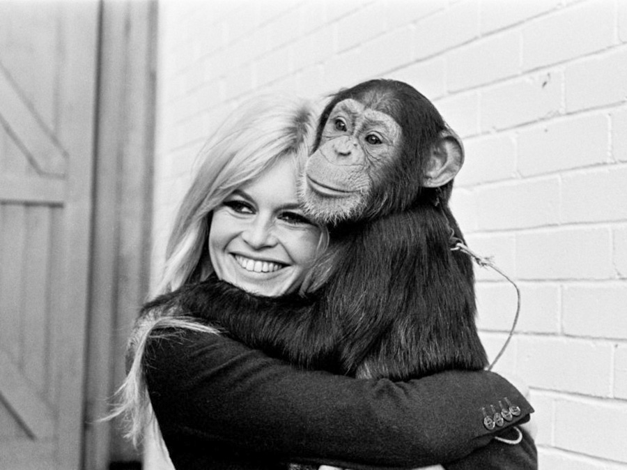 les plus belles photos de Brigitte Bardot.Brigitte Bardot avec un chimpanzé dans ses bras © Photo copyright : DR