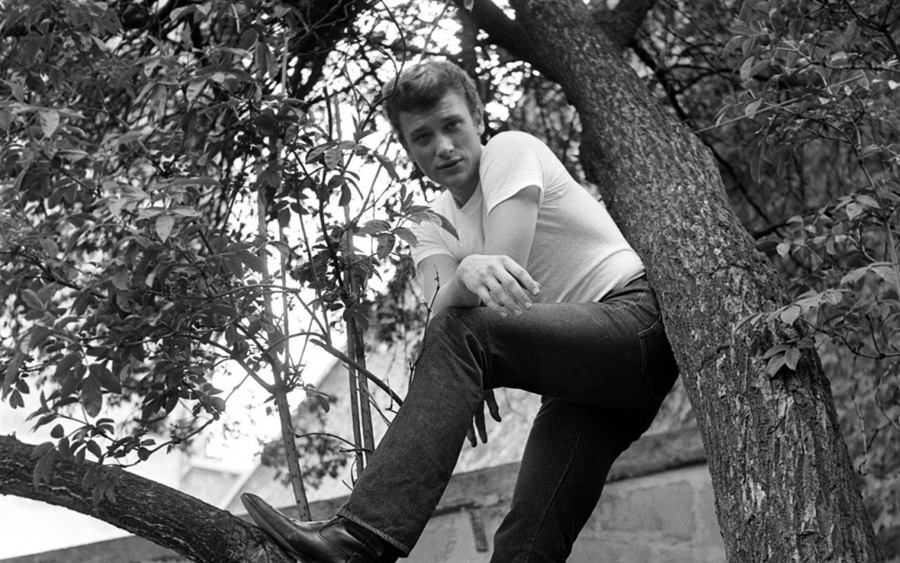 Johnny Hallyday posant sur la branche d'un arbre © Photo sous copyright