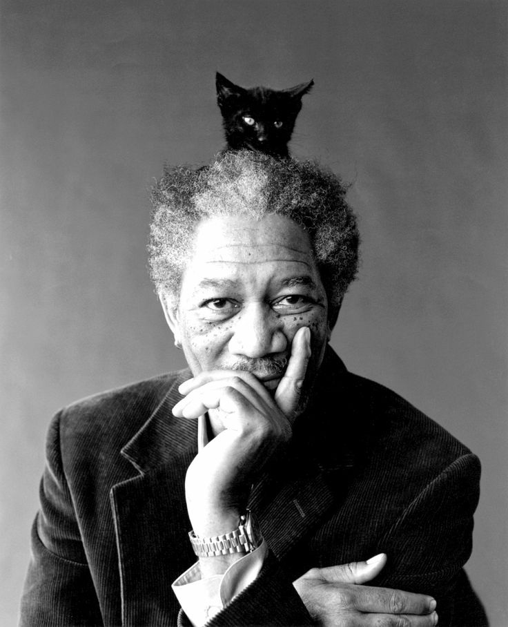 Morgan Freeman with a black cat
