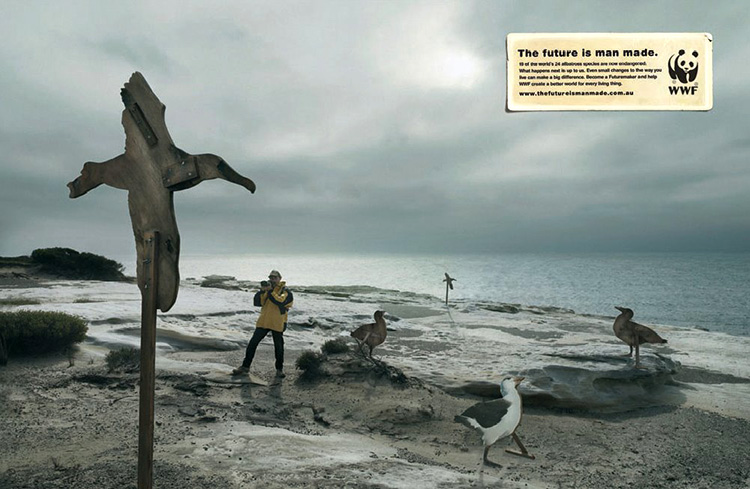 des mouettes en bois sur une ile the future is man made © WWF