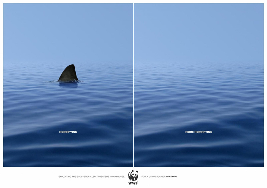une photos avec une mer sans requins - extinction définitive des requins. Horrifying © WWF
