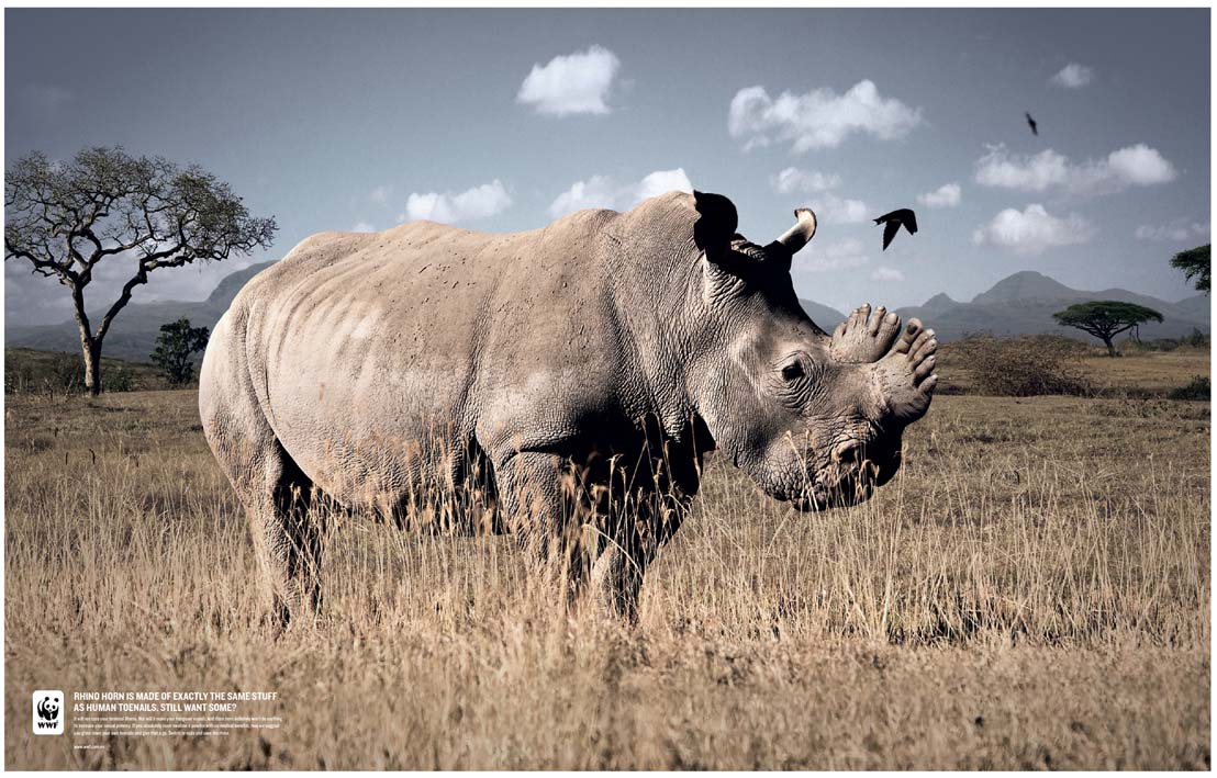 Rhino horn is made of exactly the same stuff as human fingernails still want some ? © WWF