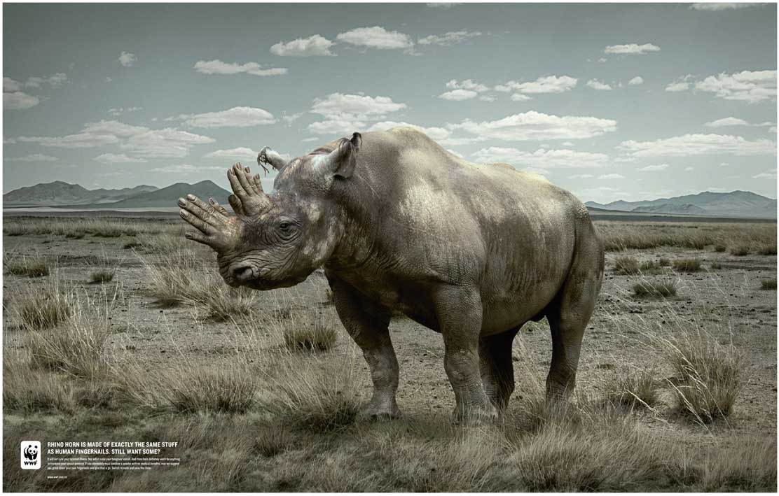 un rhinocéros à des main à la place de la corne - Rhino horn is made of exactly the same stuff as human fingernails still want some ? © WWF