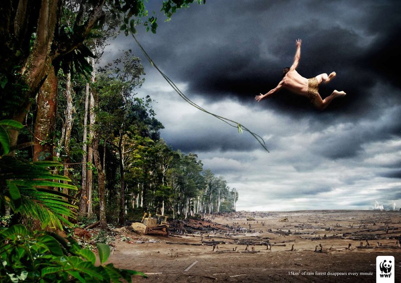 tarzan sans lianes, parce que les arbres n'existent plus à cause de la déforestation © WWF