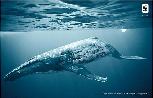 What will it take before we respect the planet ? © WWF


