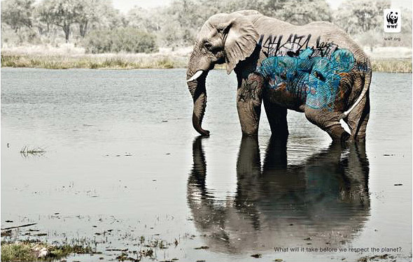 un éléphant avec des tags What will it take before we respect the planet ? © WWF

