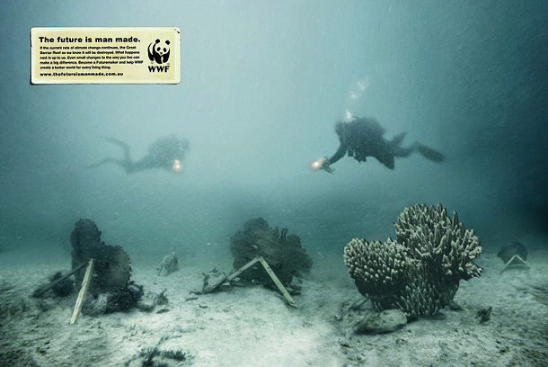 des coreaux en bois dans la mer the future is man made © WWF