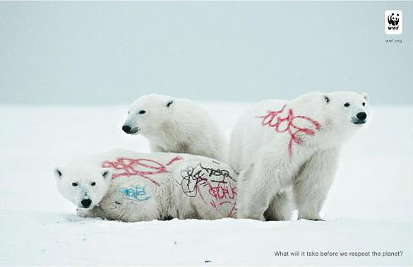 des ours polaires avec des tags What will it take before we respect the planet ? © WWF

