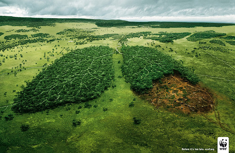 Before it's too late © WWF 