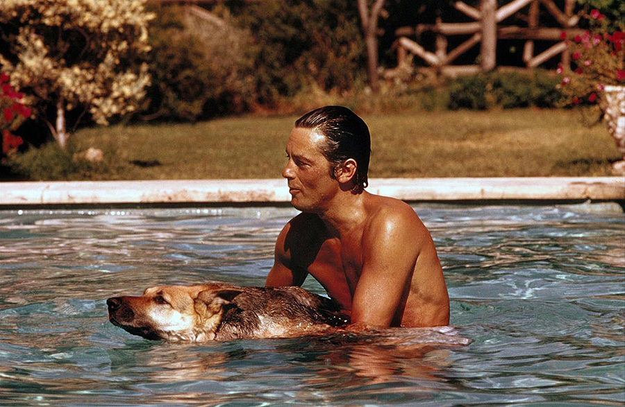 Alain Delon se détend avec son chien pendant le tournage du film "La piscine" © Photo sous Copyright