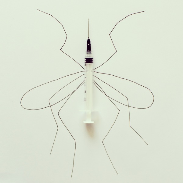 javier-perez - un moustique seringue